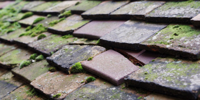 Telford roof repair costs